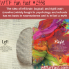 left brain vs right brain myth