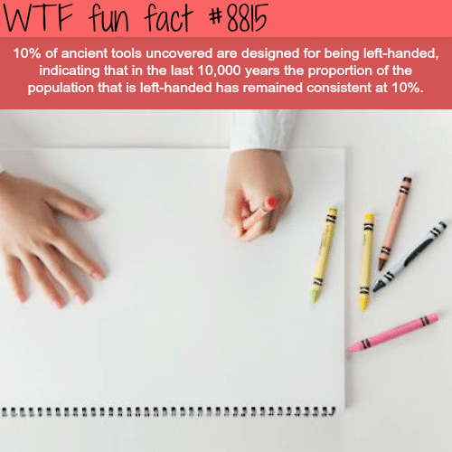 Left-handed people - WTF fun facts