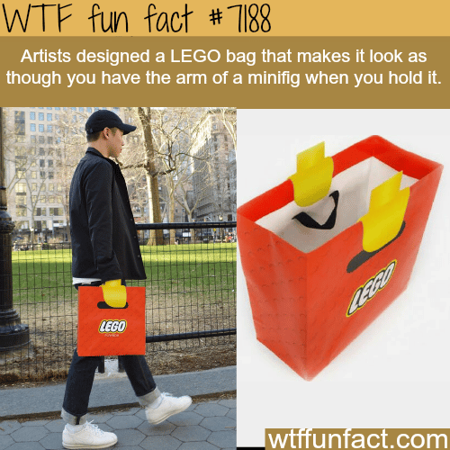 LEGO bag - WTF Fun Fact