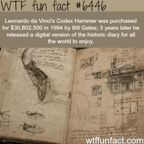 Leonardo da Vinci’s Codex Hammer - WTF fun facts