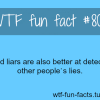 liars fact