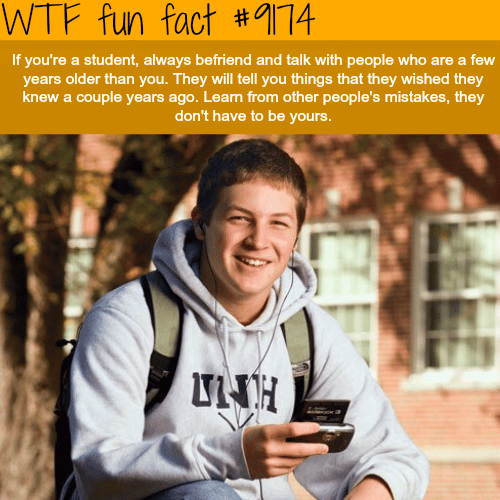 Life lessons - WTF Fun Facts