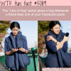 like a hug jacket wtf fun facts our facebook