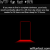 living in complete darkness wtf fun facts