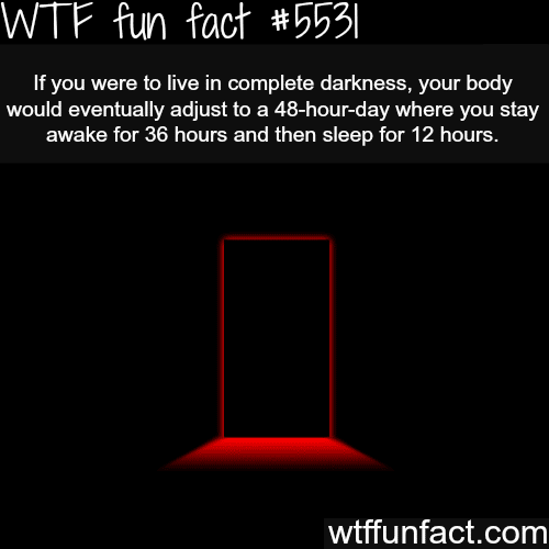 Living in complete darkness - WTF fun facts