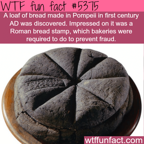 Loaf of bread from the first century AD found in Pompeii - WTF fun facts