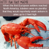 lobsters wtf fun facts