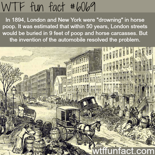 London and New York had mountains of horse poop in the streets - WTF fun facts