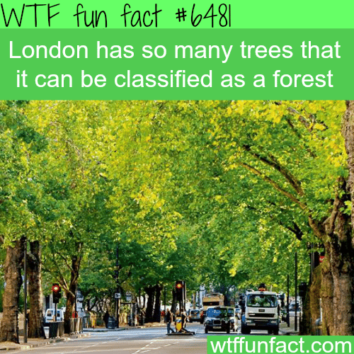 London can be classified as a forest - WTF fun facts