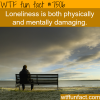 loneliness wtf fun facts