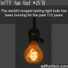 longest lasting light bulb