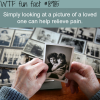 looking at a picture of a loved one wtf fun