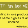 love facts
