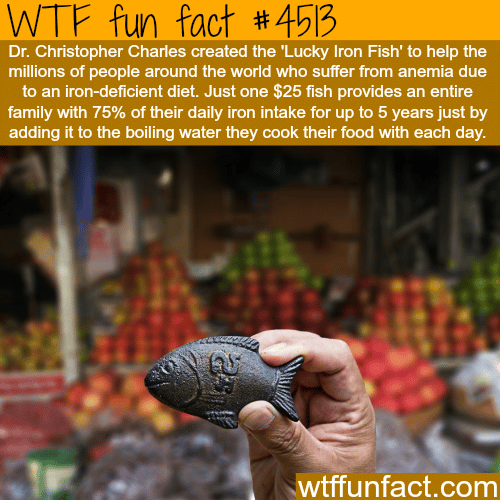 Lucky Iron Fish -   WTF fun facts