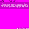 magenta isnt a real color wtf fun facts