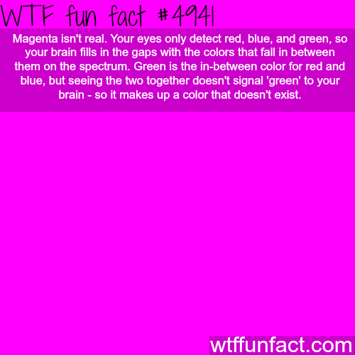 Magenta isn’t a real color - WTF fun facts 