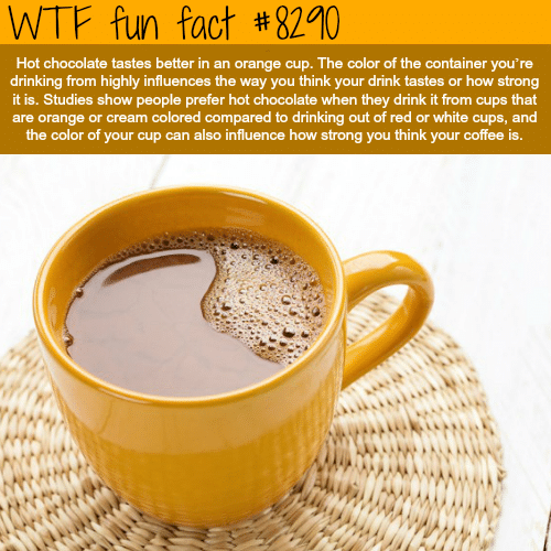 Making a better tasting hot chocolate - WTF fun facts