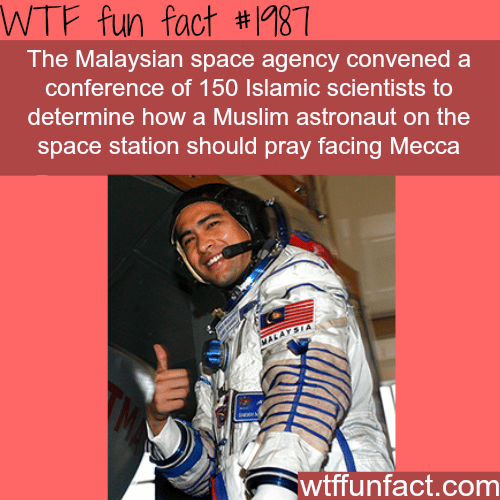 Malaysian space agency - WTF fun facts
