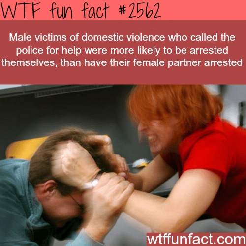 Male victims of domestic violence - WTF fun facts