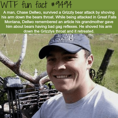 Man fights a bear - WTF fun fact