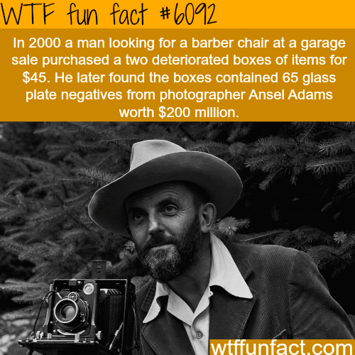 Man finds a box that is worth $200 million  WTF fun facts