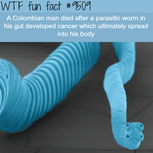 Man gets cancer from a worm - WTF fun fact