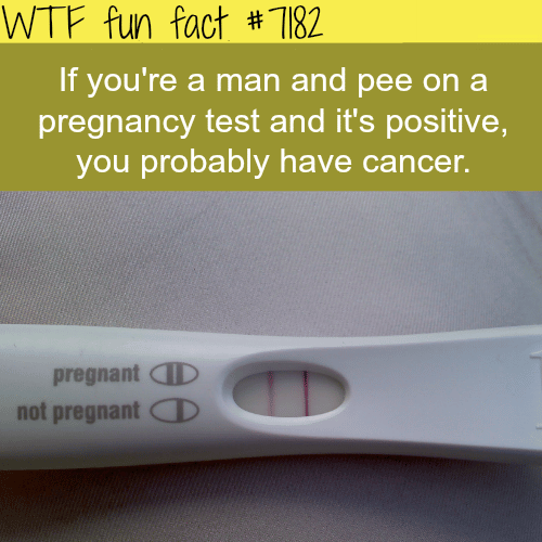 Man got a positive pregnant test - WTF Fun Fact