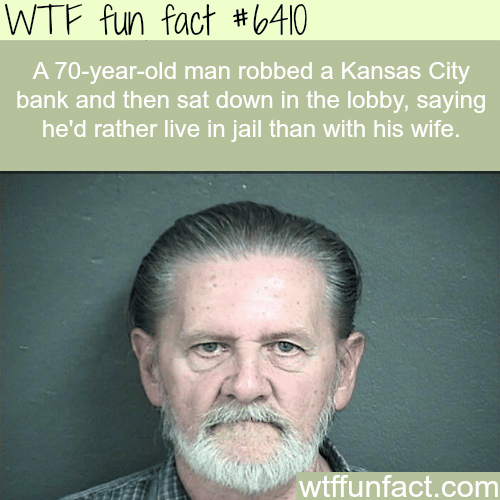 Man robs a bank to get away from his wife - WTF fun facts
