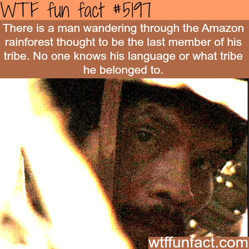 Man wandering through the Amazon rainforest - WTF fun facts