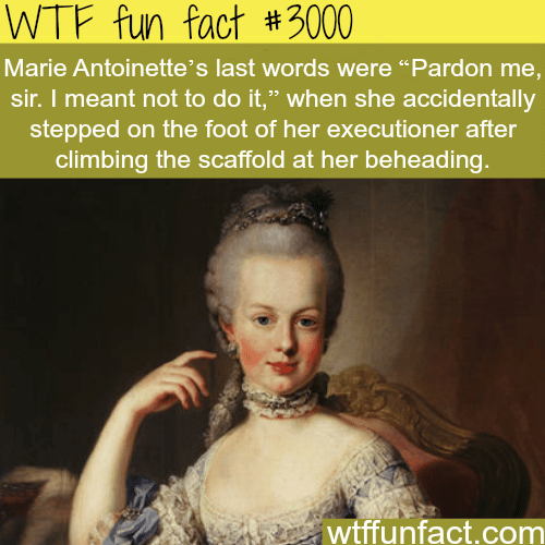 Marie Antoinette’s last words -  WTF fun facts