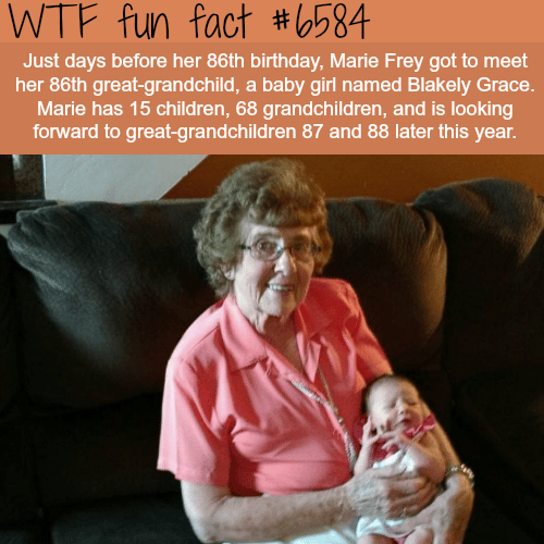 Marie Frey - WTF fun facts