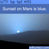 mars has a blue sunset wtf fun facts