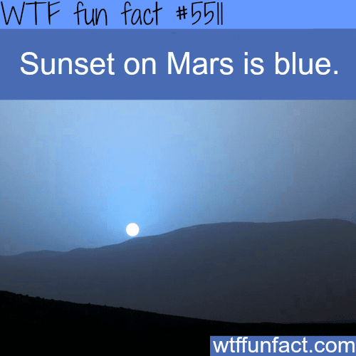 Mars has a blue sunset - WTF fun facts