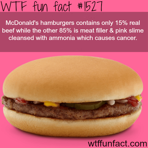 McDonald’s  hamburgers can cause cancer! wtf fun facts