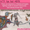 medieval knights vs snails wtf fun facts