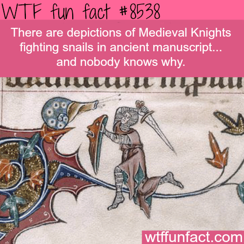 Medieval Knights vs Snails  - WTF fun facts