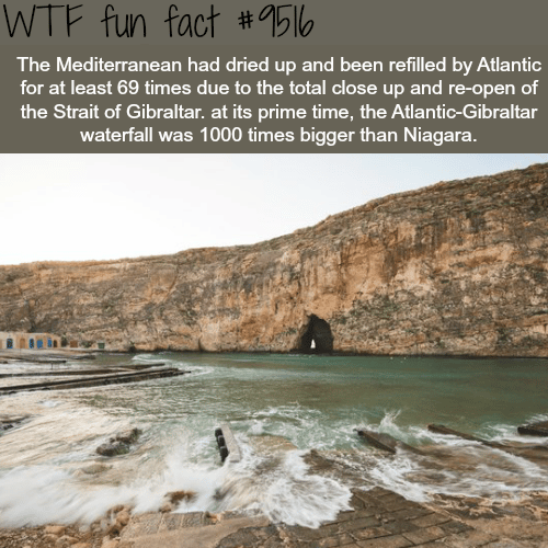 Mediterranean - WTF fun fact