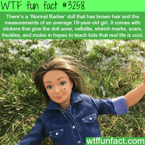 Meet the normal barbie -  WTF fun facts
