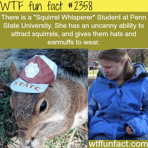 Meet the “Squirrel Whisperer”  from Penn State - WTF fun facts