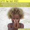 melanesia wtf fun facts