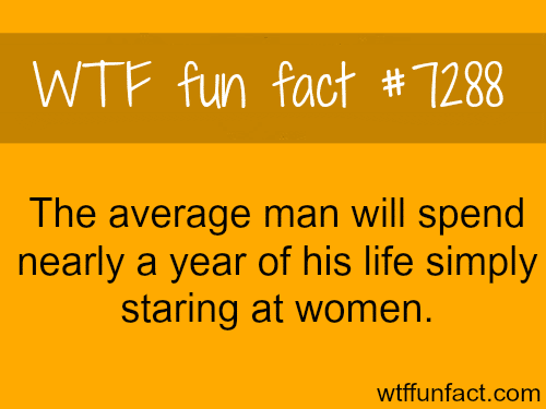 Fact Of The Day-Friday June 28th 2019 Fun-facts-men-spend-a-year-of-their-lives-starting-at-women