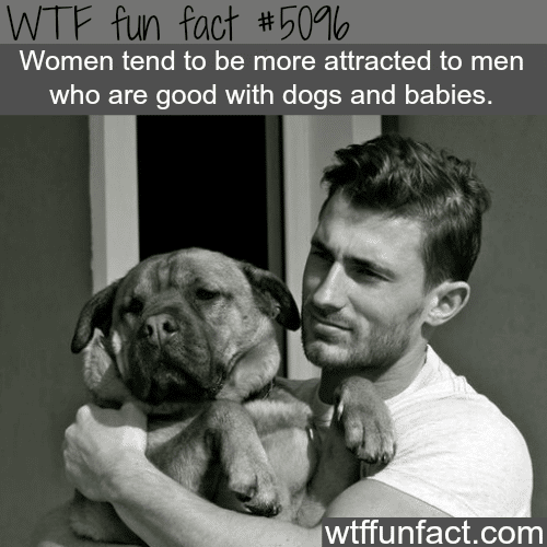 Men who are good with babies and dogs - WTF fun facts