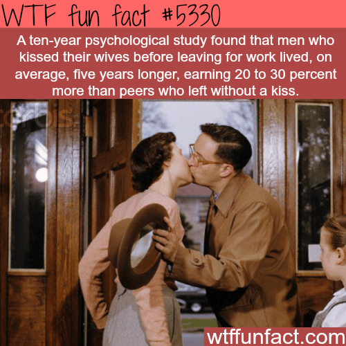 Men who kiss their wife before work make more money - WTF fun facts
