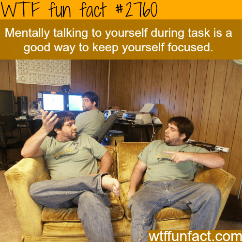 Mentally talking to yourself - WTF fun facts