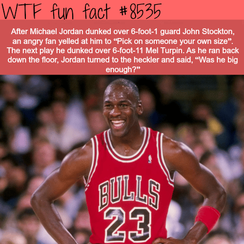 Michael Jordan - WTF fun facts