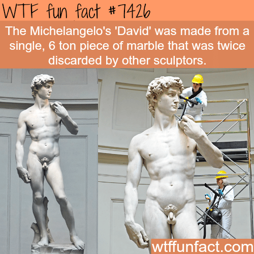Michelangelo’s ‘David’ - FACTS