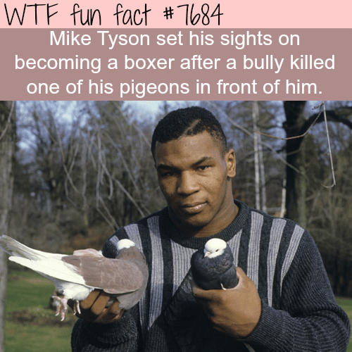 Mike Tyson - WTF fun fact