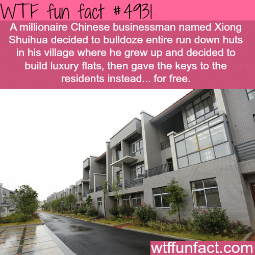 Millionaire Chinese man gives luxury flats for free - WTF fun facts   