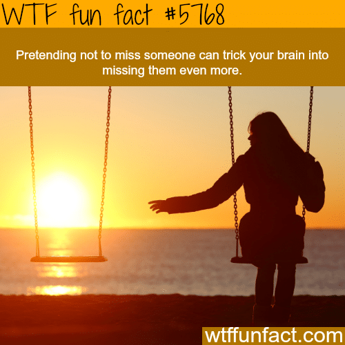 Missing someone - WTF fun facts