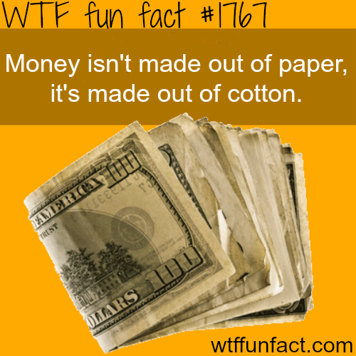  What is money actually made of - WTF fun facts
